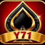 Y71