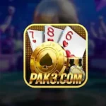 Pak3 Game