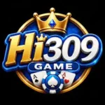 Hi309 Game