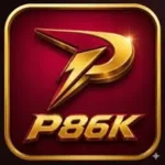 P86K