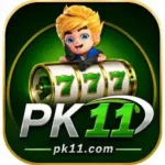 PK11 Game